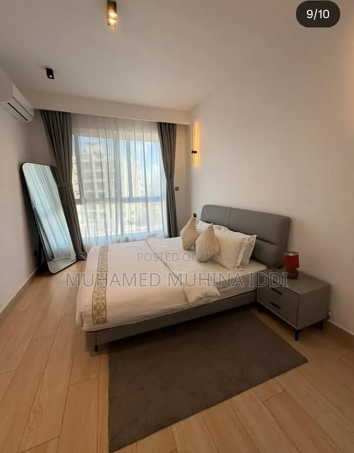 Furnished 1bdrm Apartment in Masaki for rent
