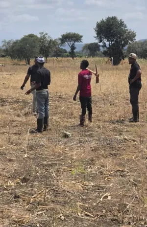 Arusha Kikatiti Bei Zimepoa