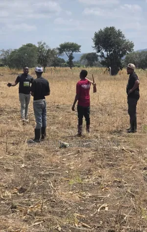 Arusha Kikatiti Bei Zimepoa
