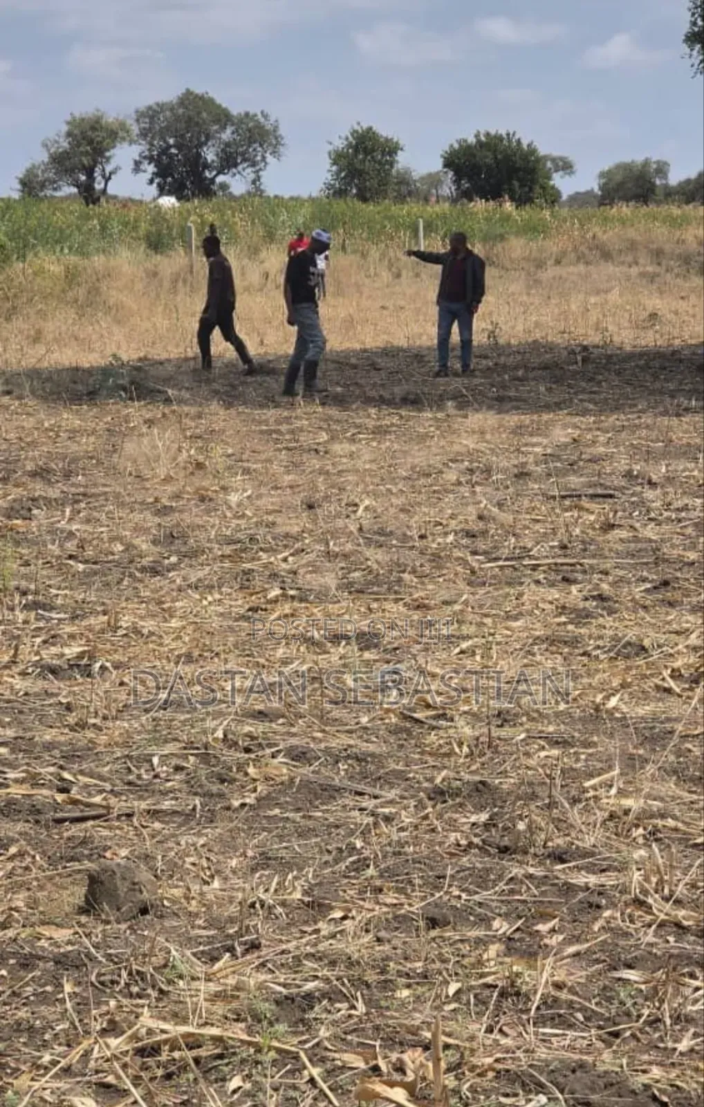 Arusha Kikatiti Bei Zimepoa