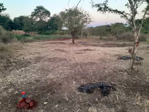 Usariver Bypass East Africa Raod
