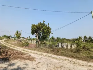 Eneo Linauzwa Chanika