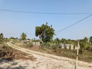 Eneo Linauzwa Chanika