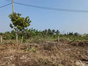 Eneo Linauzwa Chanika