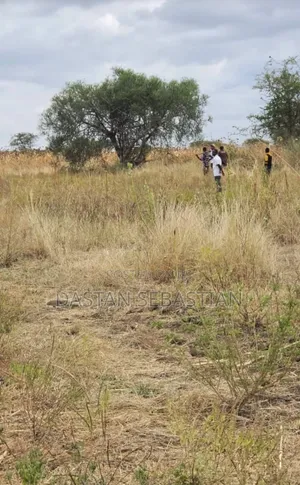 Arusha Viwanja Bei Nafuu