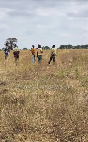 Arusha Viwanja Bei Nafuu