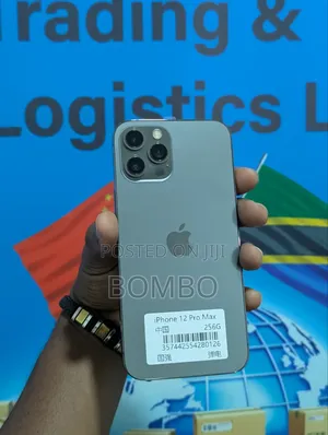 Apple iPhone 12 Pro Max 256 GB Gray