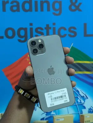 Apple iPhone 12 Pro Max 256 GB Gray