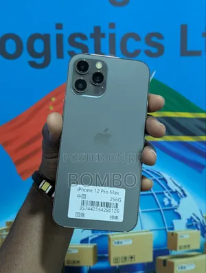 Apple iPhone 12 Pro Max 256 GB Gray