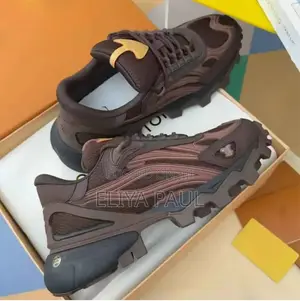 Louis Vuitton Chunky Sneakers