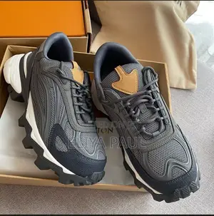 Louis Vuitton Chunky Sneakers