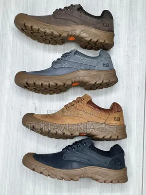 Quality and Original Shoes Cat👞
