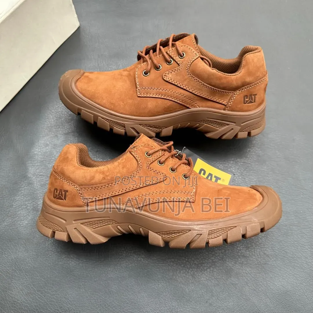 Quality and Original Shoes Cat👞
