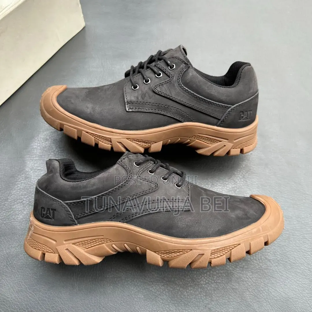 Quality and Original Shoes Cat👞