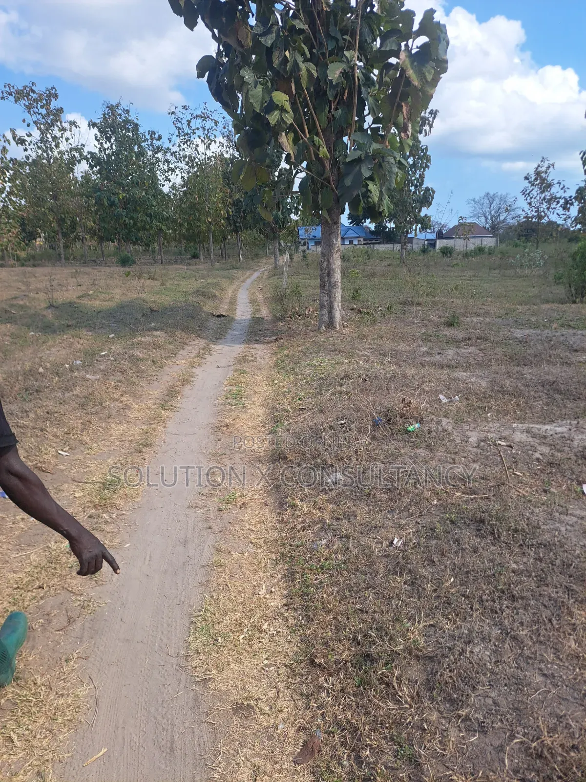Eneo Linauzwa Mapinga Amani Mwisho