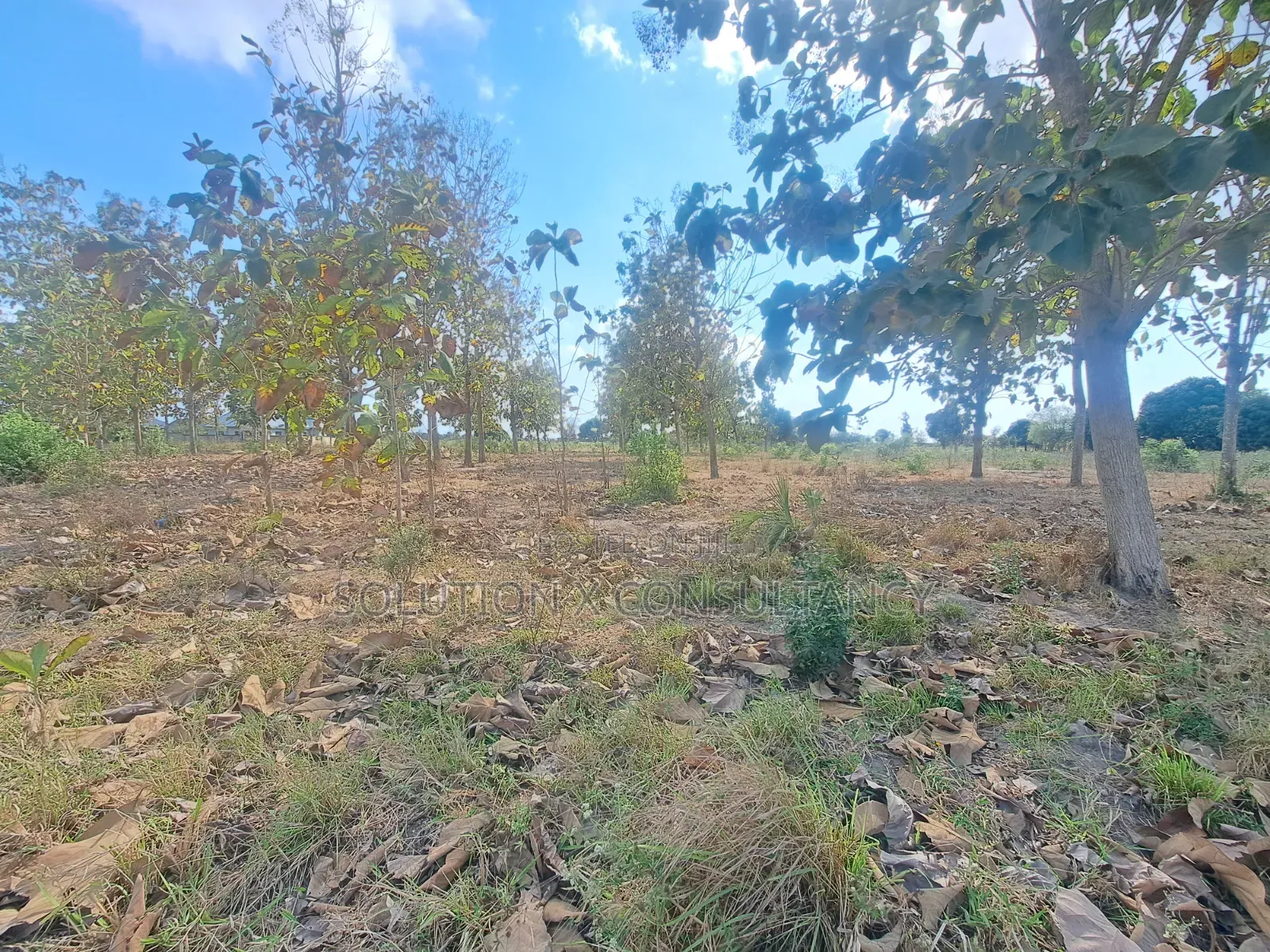 Eneo Linauzwa Mapinga Amani Mwisho