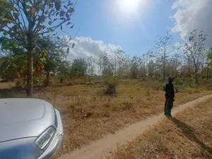Eneo Linauzwa Mapinga Amani Mwisho