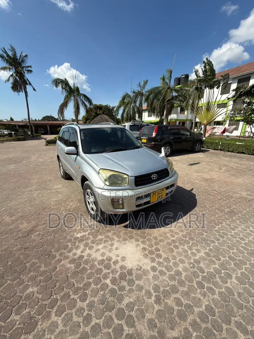Toyota RAV4 2004 Silver