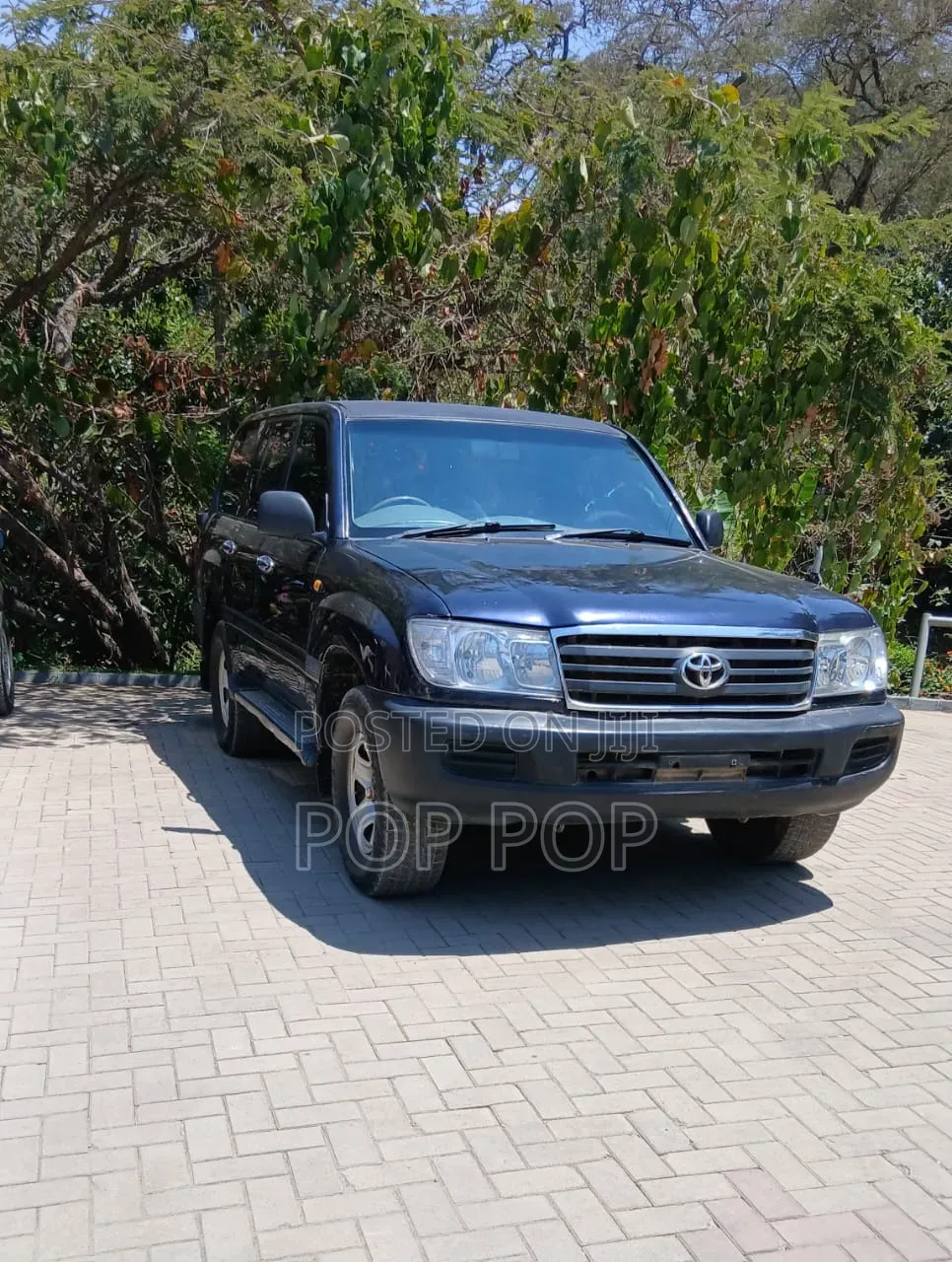 Toyota Land Cruiser 2007 Blue