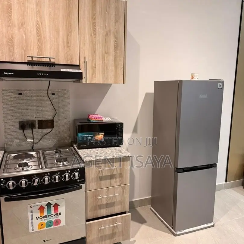 Furnished 1bdrm Apartment in Mikocheni for rent