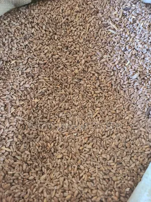 Animal Feeds Wheat (Ngano Ya Mifugo)