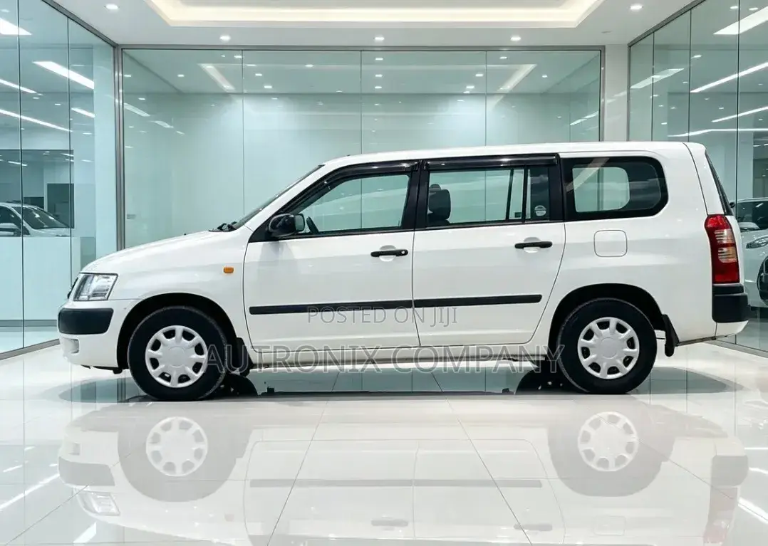 Toyota Succeed 2006