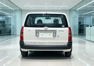 Toyota Succeed 2006