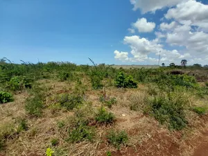 Kiwanja Kinauzwa Kigamboni Geza Ulole