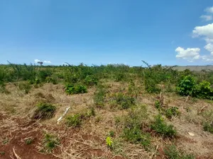 Kiwanja Kinauzwa Kigamboni Geza Ulole