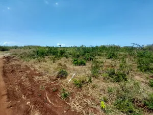 Kiwanja Kinauzwa Kigamboni Geza Ulole