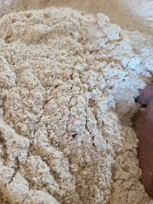 Maize Meal (DONA LA Mifugo)