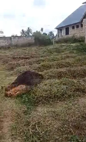 Plot for Sale at Mwera Zanzibar