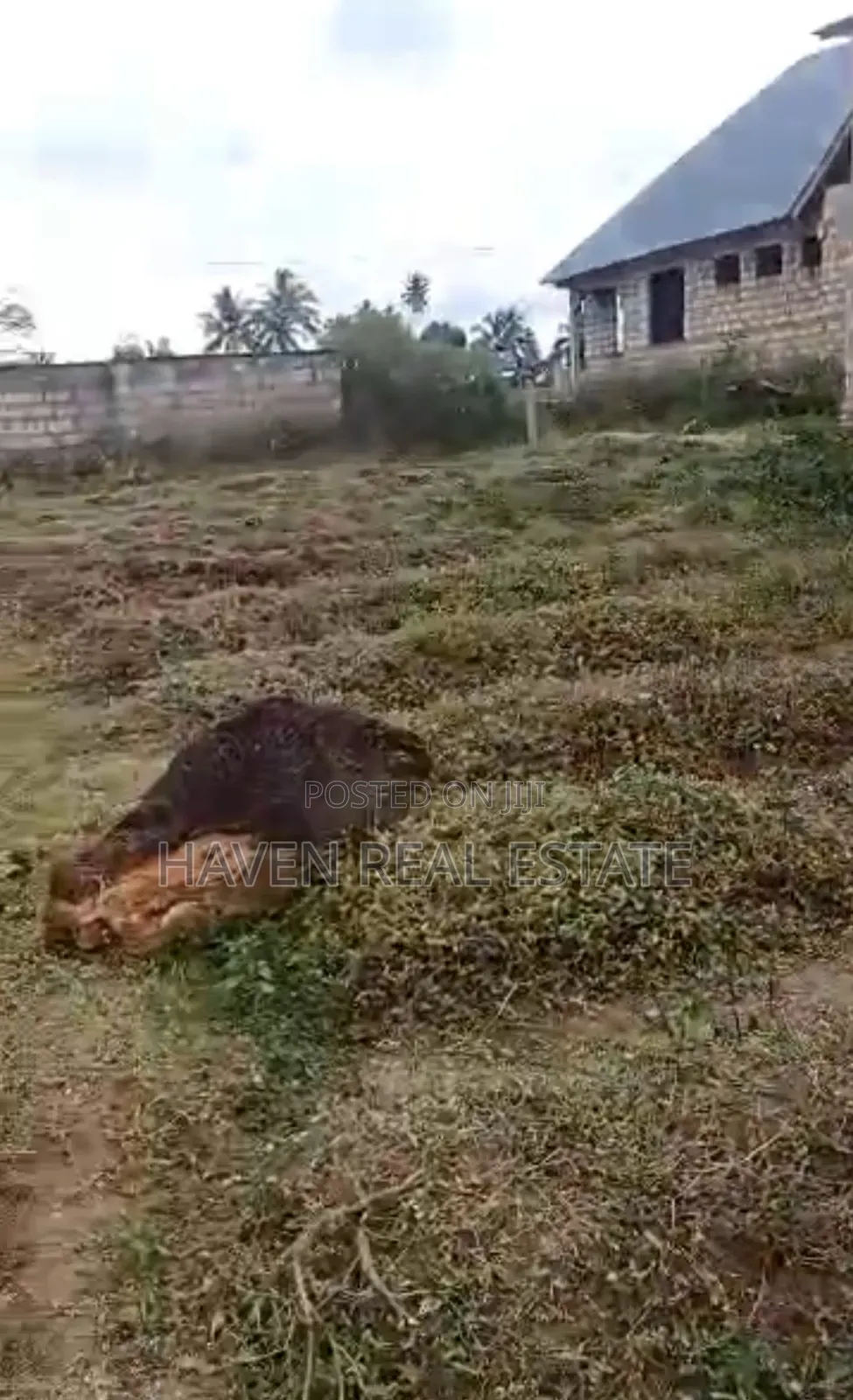 Plot for Sale at Mwera Zanzibar