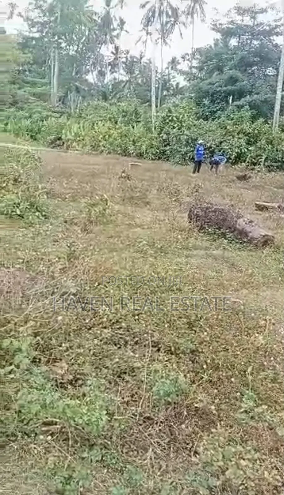 Plot for Sale at Mwera Zanzibar
