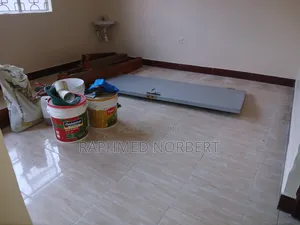 2bdrm Apartment in Tanzania Realestates, Central Business Area for rent