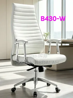 Executive Chair White Collar & Black Collar