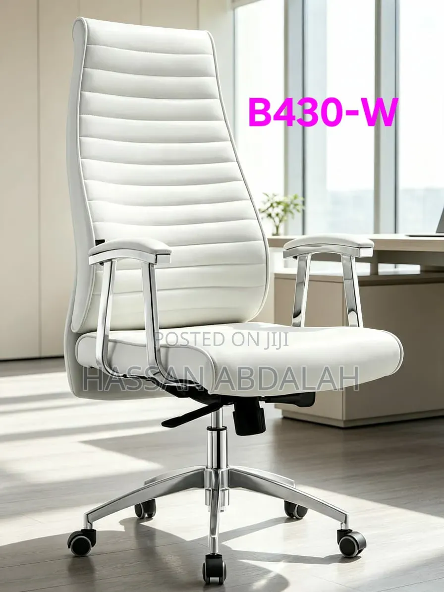Executive Chair White Collar & Black Collar