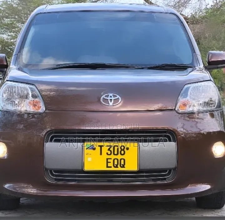 Toyota Porte 2014 Brown