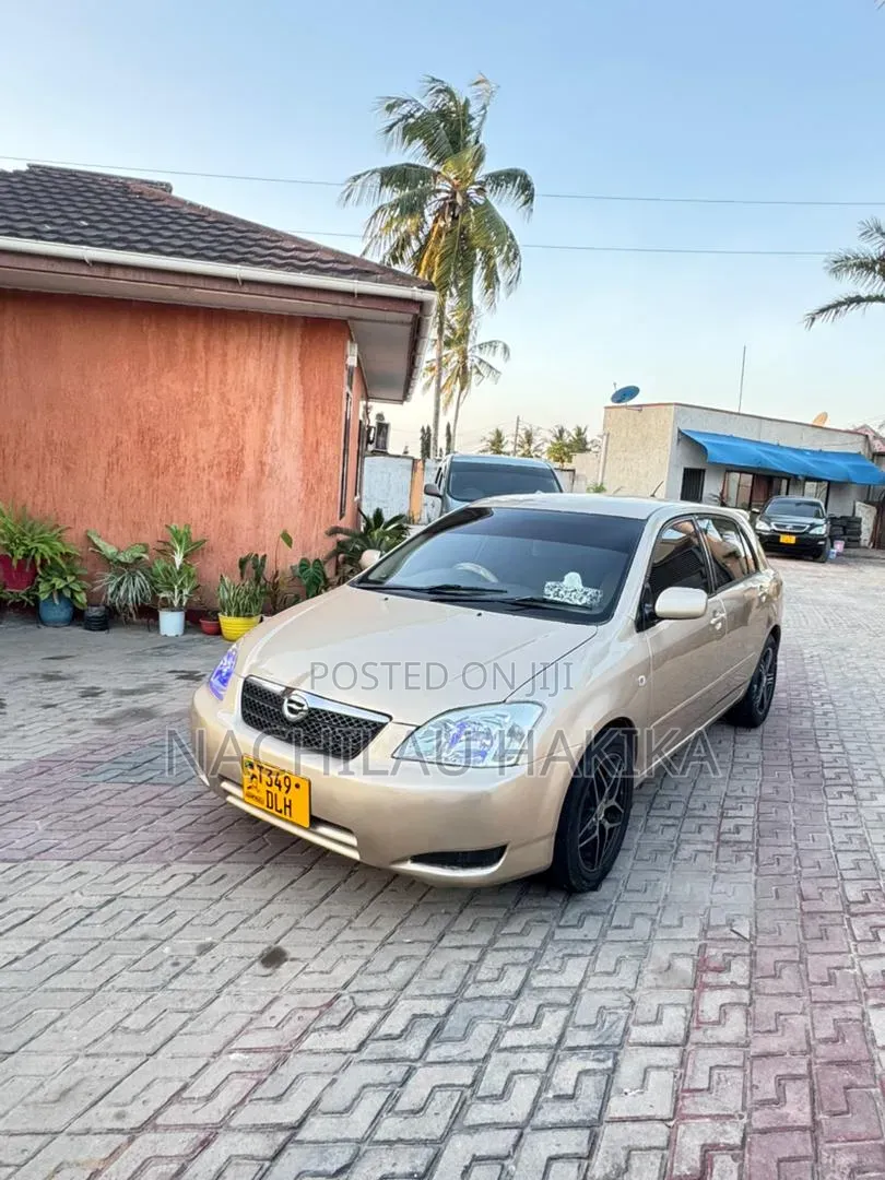 Toyota Allex 2001 Gold