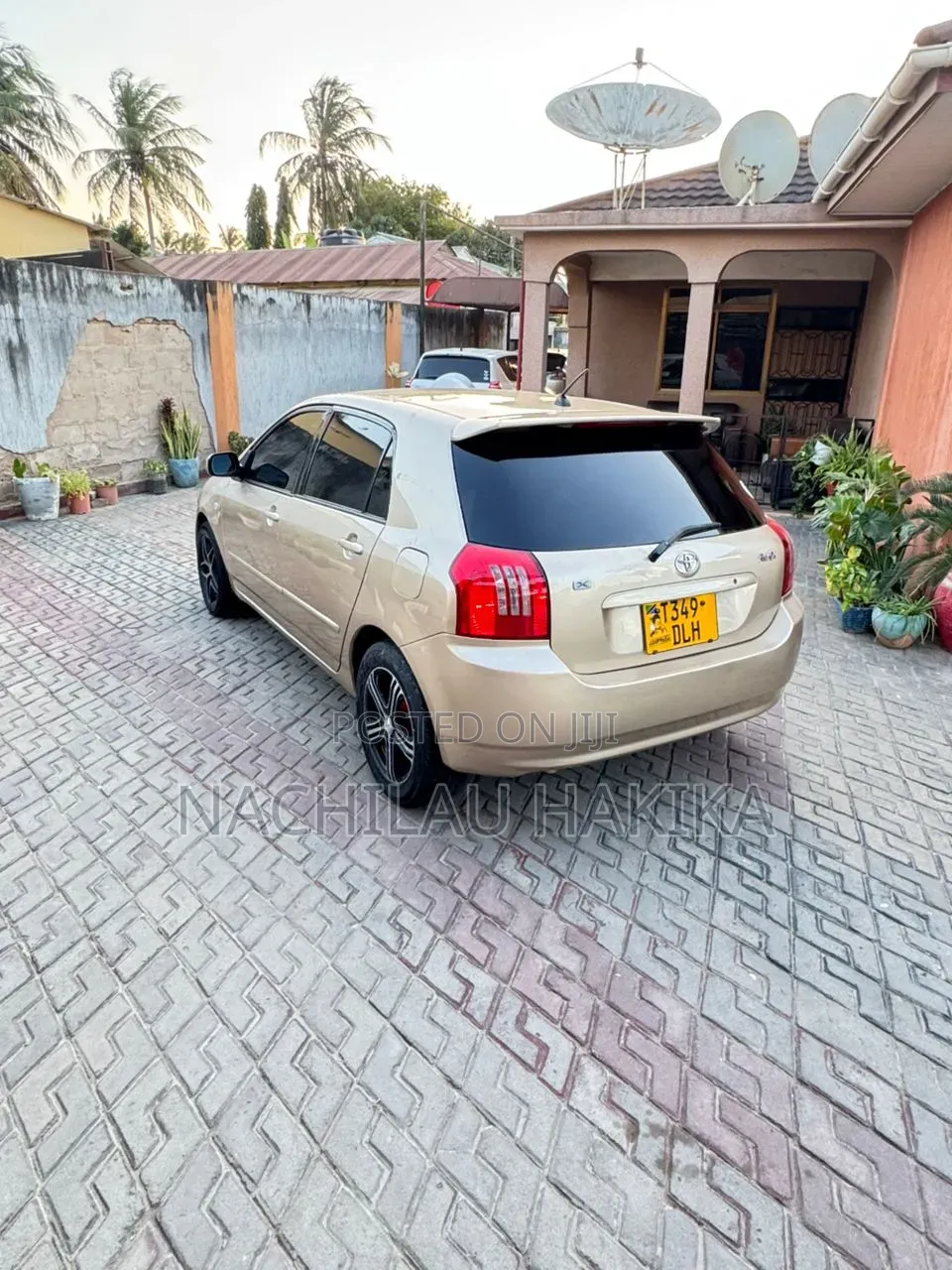Toyota Allex 2001 Gold