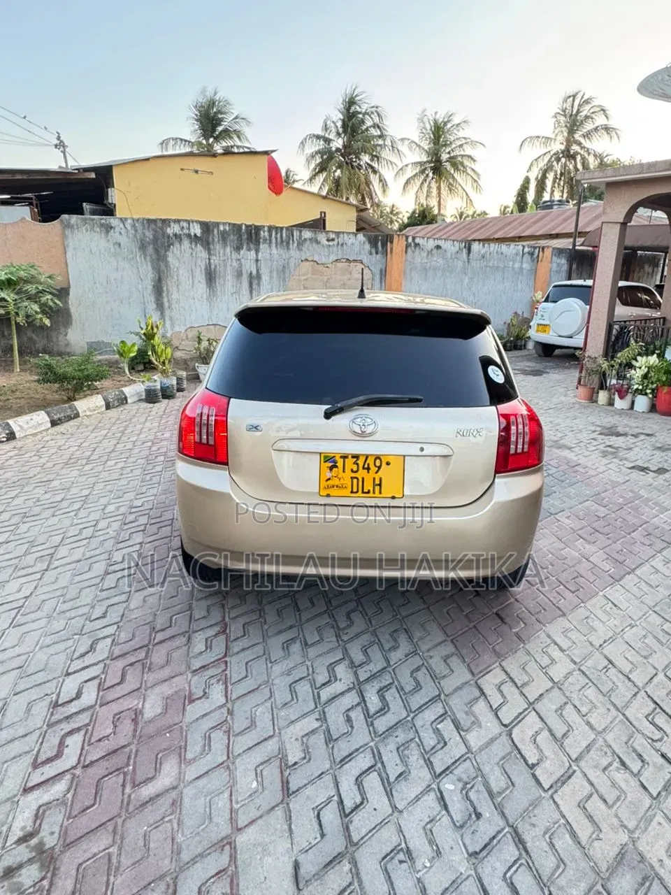Toyota Allex 2001 Gold