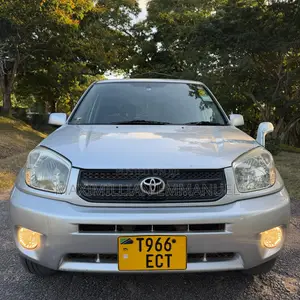 Toyota RAV4 2006 Silver