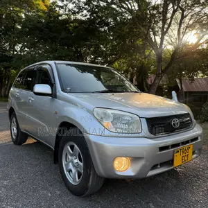 Toyota RAV4 2006 Silver