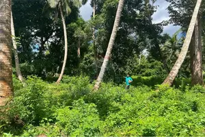 Kiboje Prime Farmland on Sale