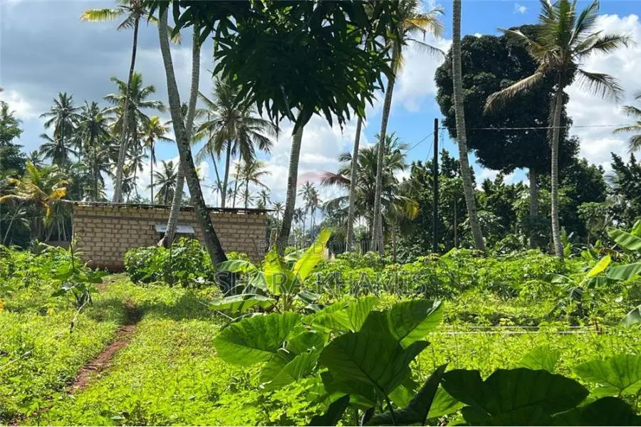 Kiboje Prime Farmland on Sale
