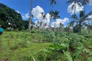 Kiboje Prime Farmland on Sale