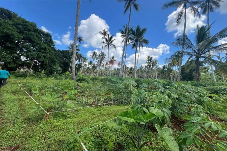 Kiboje Prime Farmland on Sale