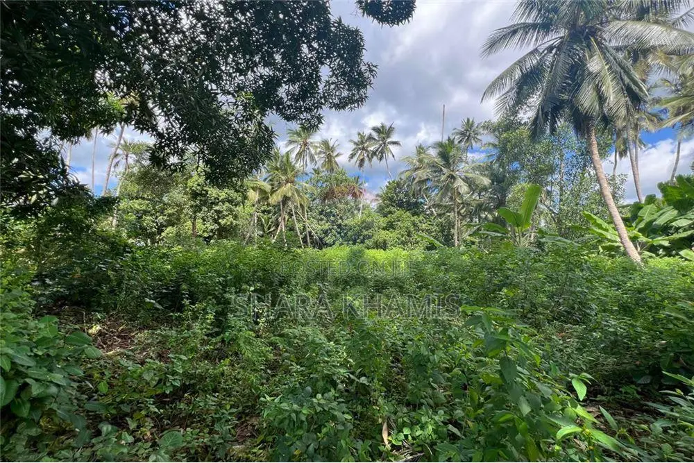 Kiboje Prime Farmland on Sale