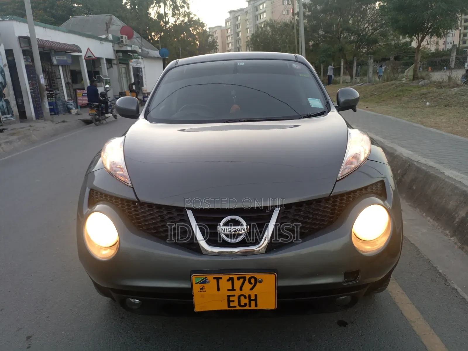 Nissan Juke 2013 Gray