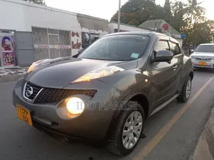 Nissan Juke 2013 Gray